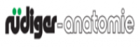 RÜDIGER - ANATOMIE