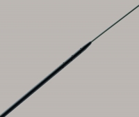 C-CASP-901-FORD