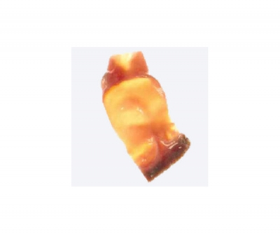 CryoPatch® SG SGPH00