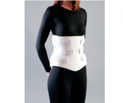 Custom Bivalve Anterior