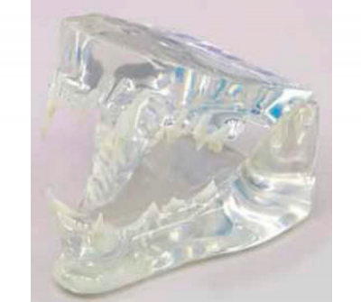 D1050