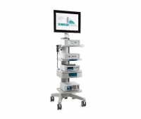 Endoscopy column