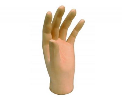 Hand external cosmetic prosthesis / adult