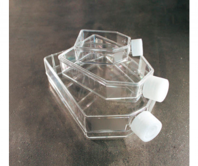 NON-TREATED CELL CULTURE FLASKS