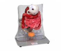 0300 - Otto Ostomy™