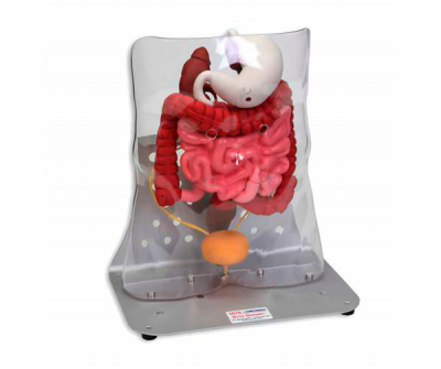 0300 - Otto Ostomy™