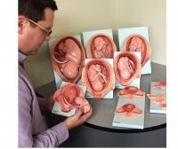 RealCare™ Fetal Development