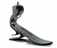 Renegade®, Renegade® LP