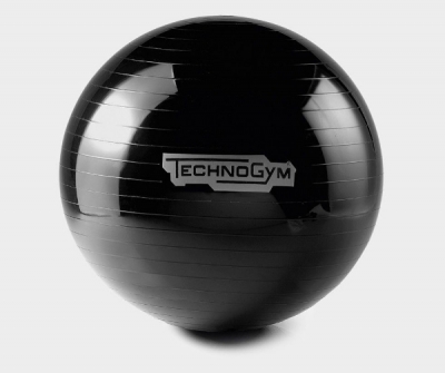 WELLNESS BALL™ TRAINING 65cm