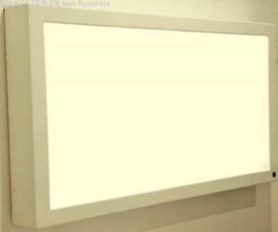 White light X-ray film viewer / 1-section