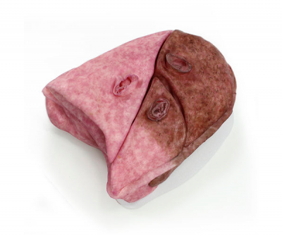 8006