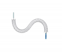 sinus-Endoscopic Stent