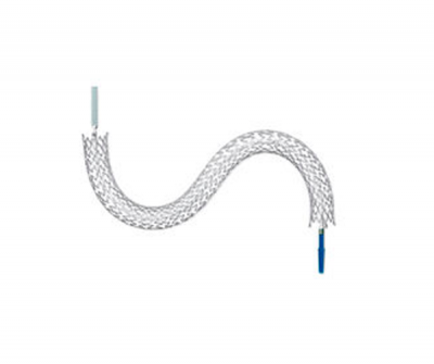 sinus-Endoscopic Stent